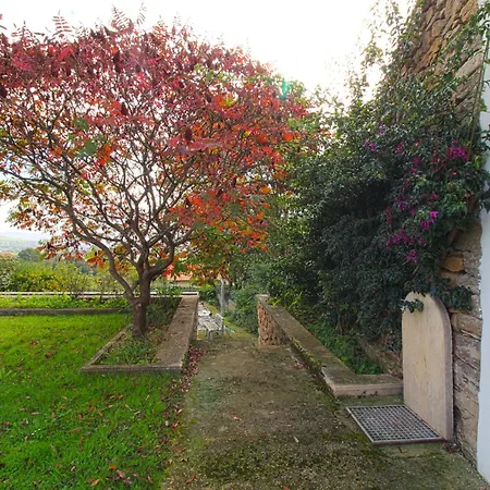 Margarita Дом отдыха